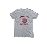 Vintage 90s Transylvania University T-Shirt - Gray - Size Small